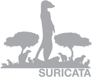 Suricata